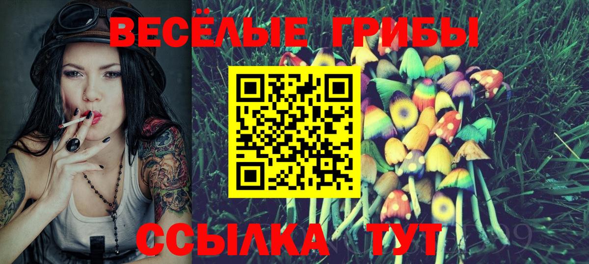 Галлюциногенные грибы мухоморы Боровичи