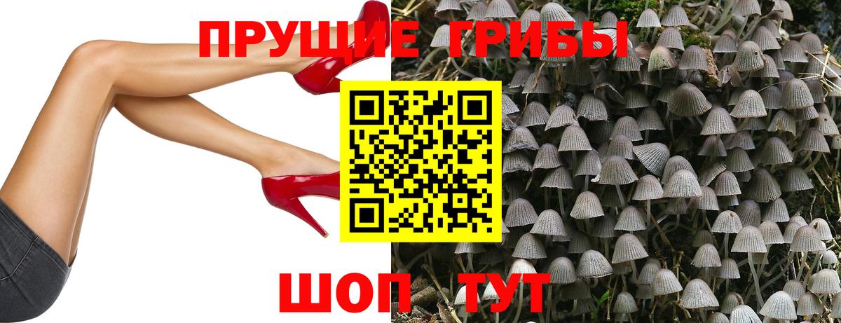 Псилоцибиновые грибы ЛСД  Вход с VPN  Галлюциногенные грибы Psilocybine cubensis  Боровичи 